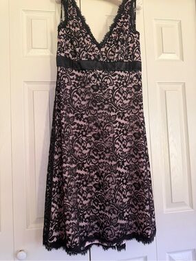 Tadashi Shoji Black Lace Overlay on Blush Slip Dress